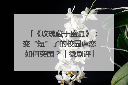 《玫瑰藏于盛夏》：变“短”了的校园虐恋如何突围？｜微剧评