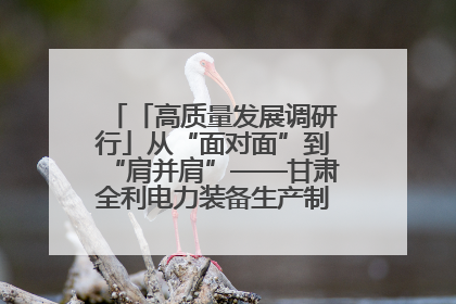 「高质量发展调研行」从“面对面”到“肩并肩”——甘肃全利电力装备生产制造项目一线见闻