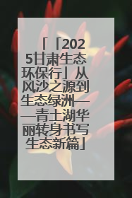 「2025甘肃生态环保行」从风沙之源到生态绿洲——青土湖华丽转身书写生态新篇