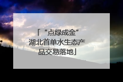 “点绿成金” 湖北首单水生态产品交易落地