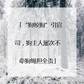 “狗咬狗”引官司，狗主人屡次不牵狗绳担全责