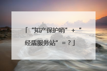 “知产保护哨”+“经盾服务站”=？