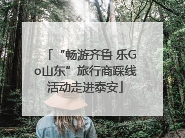 “畅游齐鲁 乐Go山东”旅行商踩线活动走进泰安