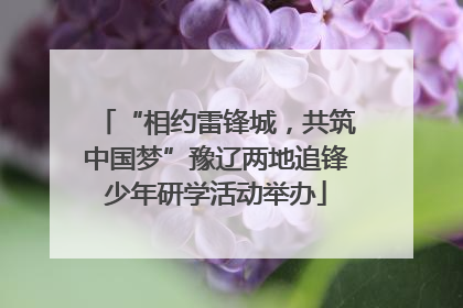“相约雷锋城，共筑中国梦”豫辽两地追锋少年研学活动举办