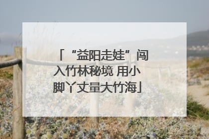 “益阳走娃”闯入竹林秘境 用小脚丫丈量大竹海
