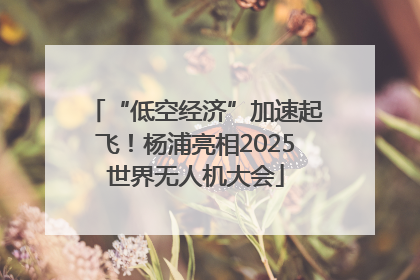 “低空经济”加速起飞！杨浦亮相2025世界无人机大会