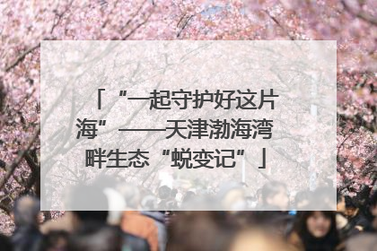 “一起守护好这片海”——天津渤海湾畔生态“蜕变记”
