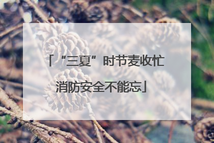 “三夏”时节麦收忙 消防安全不能忘
