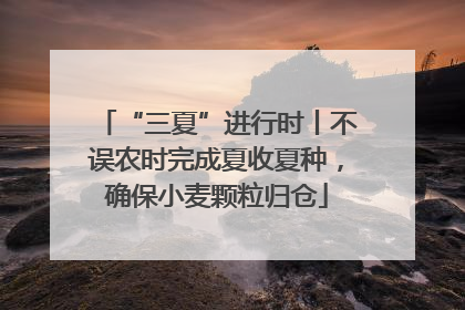 “三夏”进行时丨不误农时完成夏收夏种，确保小麦颗粒归仓
