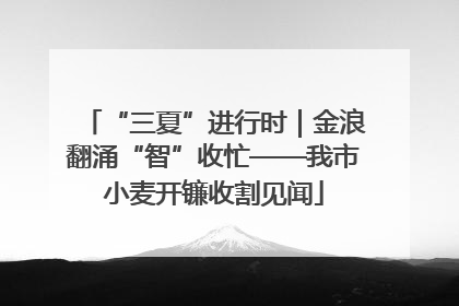 “三夏”进行时｜金浪翻涌“智”收忙——我市小麦开镰收割见闻