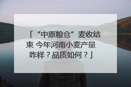 “中原粮仓”麦收结束 今年河南小麦产量咋样？品质如何？