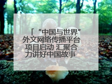 “中国与世界”外文网络传播平台项目启动 汇聚合力讲好中国故事 推进中外文明交流互鉴