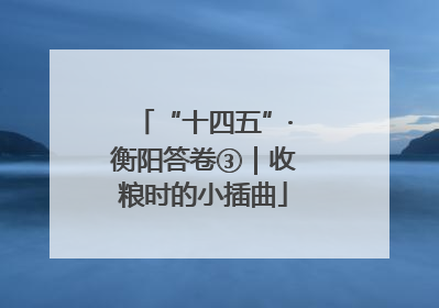 “十四五”·衡阳答卷③｜收粮时的小插曲