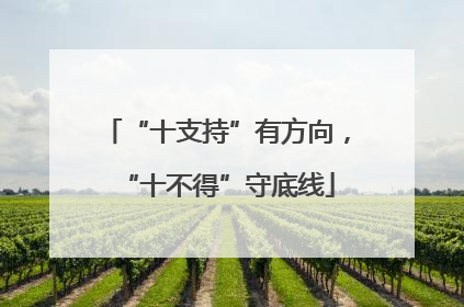 “十支持”有方向，“十不得”守底线