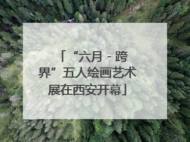 “六月 - 跨界”五人绘画艺术展在西安开幕