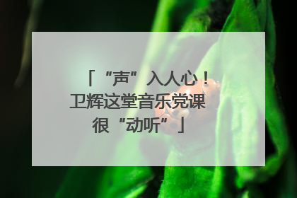“声”入人心！卫辉这堂音乐党课很“动听”