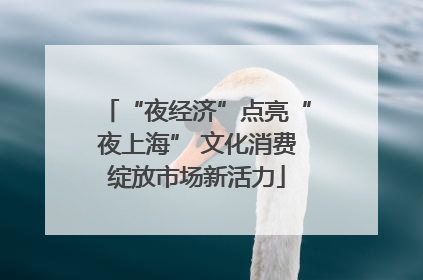 “夜经济”点亮“夜上海” 文化消费绽放市场新活力