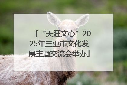“天涯文心”2025年三亚市文化发展主题交流会举办
