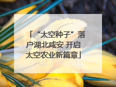 “太空种子”落户湖北咸安 开启太空农业新篇章