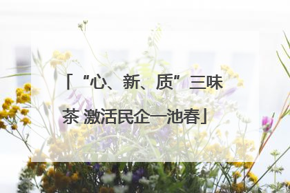 “心、新、质”三味茶 激活民企一池春