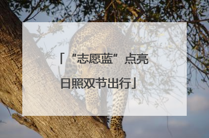 “志愿蓝”点亮日照双节出行