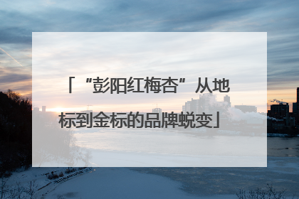 “彭阳红梅杏”从地标到金标的品牌蜕变