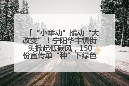 “小举动”撬动“大改变”！宁阳华丰镇街头掀起低碳风，150份宣传单“种”下绿色生活新种子