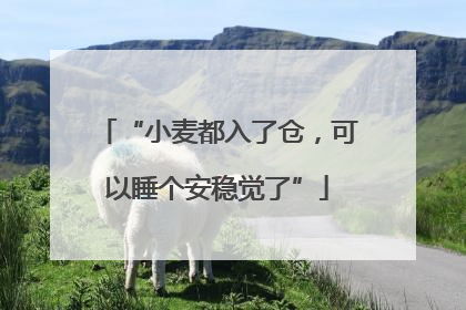 “小麦都入了仓，可以睡个安稳觉了”
