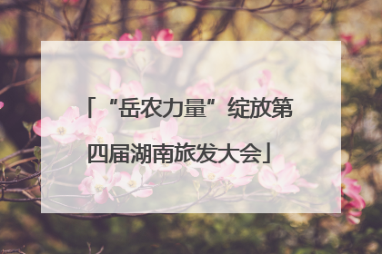 “岳农力量”绽放第四届湖南旅发大会