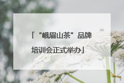 “峨眉山茶”品牌培训会正式举办