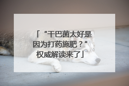 “干巴菌太好是因为打药施肥？”权威解读来了