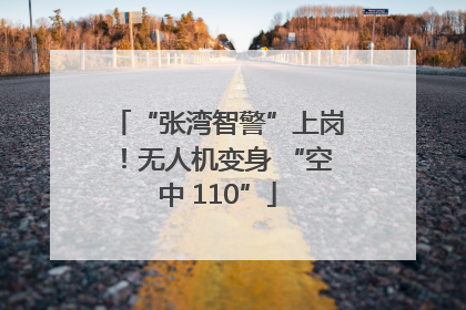 “张湾智警”上岗！无人机变身 “空中 110”