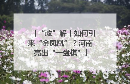 “政”解丨如何引来“金凤凰”？河南亮出“一盘棋”