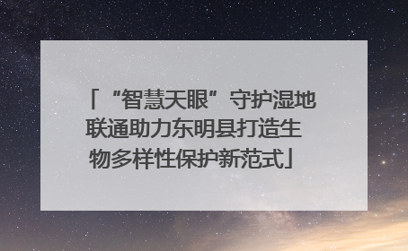 “智慧天眼”守护湿地 联通助力东明县打造生物多样性保护新范式