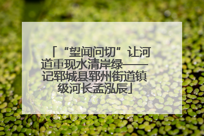 “望闻问切”让河道重现水清岸绿——记郓城县郓州街道镇级河长孟泓辰