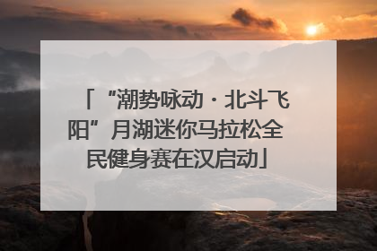 “潮势咏动・北斗飞阳”月湖迷你马拉松全民健身赛在汉启动