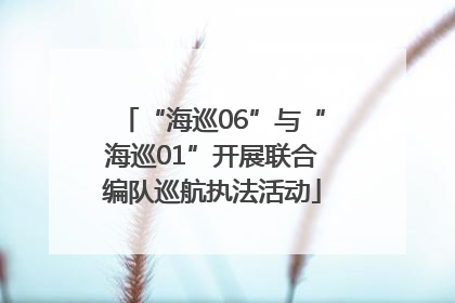 “海巡06”与“海巡01”开展联合编队巡航执法活动