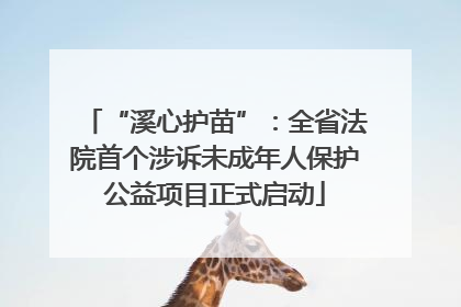 “溪心护苗”：全省法院首个涉诉未成年人保护公益项目正式启动
