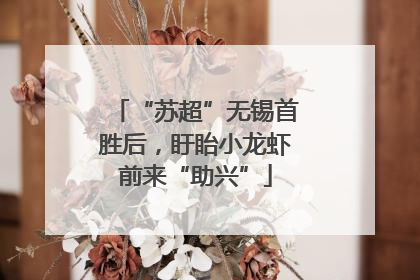 “苏超”无锡首胜后，盱眙小龙虾前来“助兴”