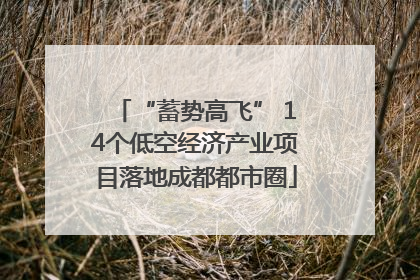“蓄势高飞” 14个低空经济产业项目落地成都都市圈