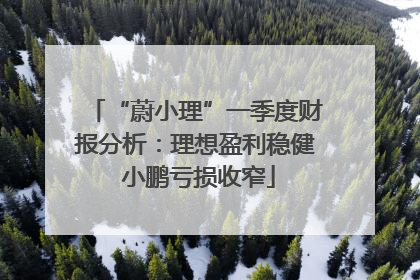 “蔚小理”一季度财报分析：理想盈利稳健 小鹏亏损收窄
