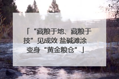 “藏粮于地、藏粮于技”见成效 盐碱滩涂变身“黄金粮仓”
