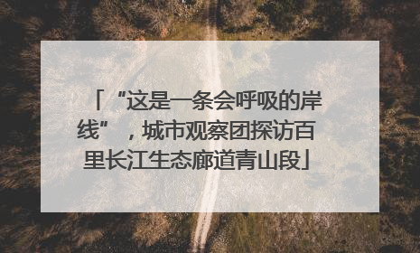 “这是一条会呼吸的岸线”，城市观察团探访百里长江生态廊道青山段