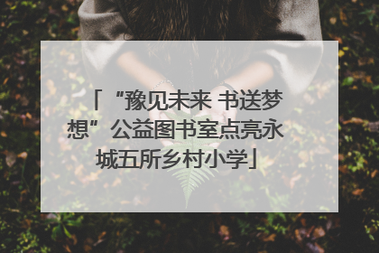 “豫见未来 书送梦想”公益图书室点亮永城五所乡村小学