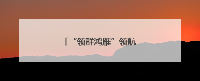 “领群鸿雁”领航边境共治新生态