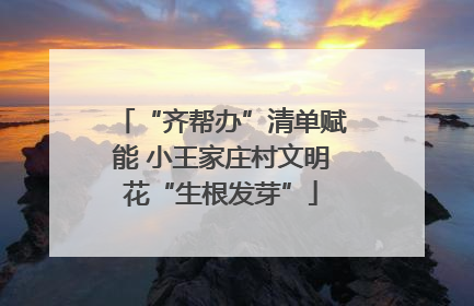 “齐帮办”清单赋能 小王家庄村文明花“生根发芽”
