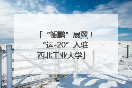 “鲲鹏”展翼！“运-20”入驻西北工业大学