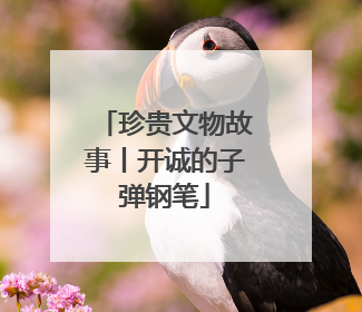 珍贵文物故事丨开诚的子弹钢笔