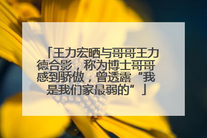 王力宏晒与哥哥王力德合影，称为博士哥哥感到骄傲，曾透露“我是我们家最弱的”