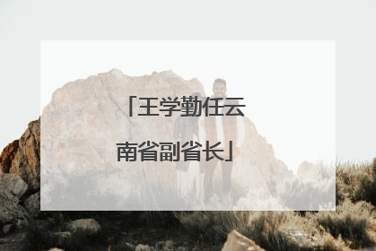 王学勤任云南省副省长